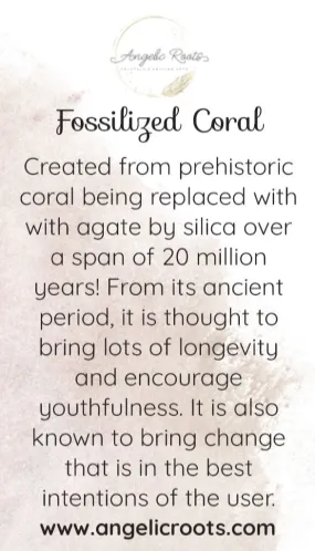 Fossilized Coral Crystal Card