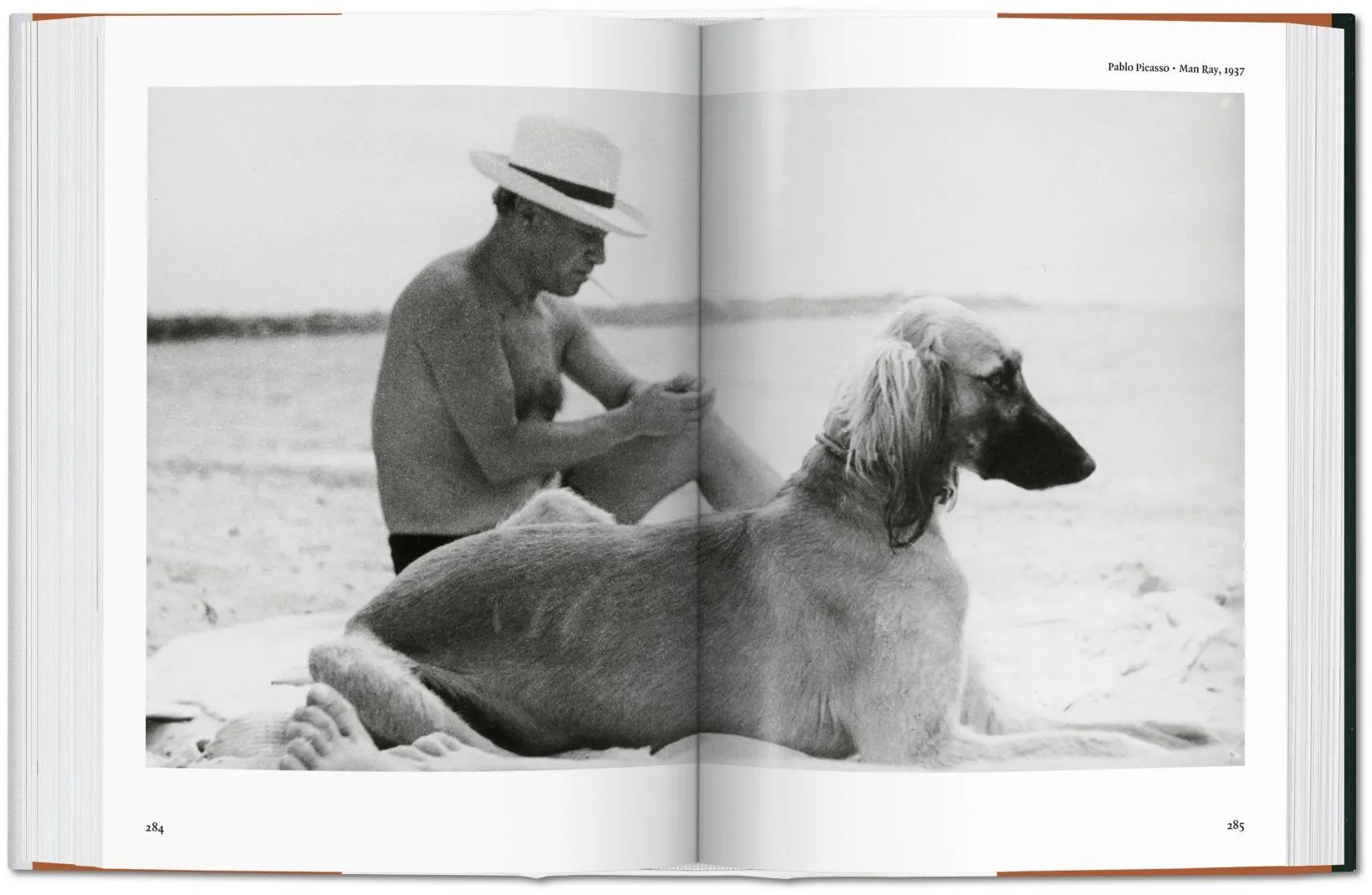 Taschen Books - The Dog in Photography 1839–Today