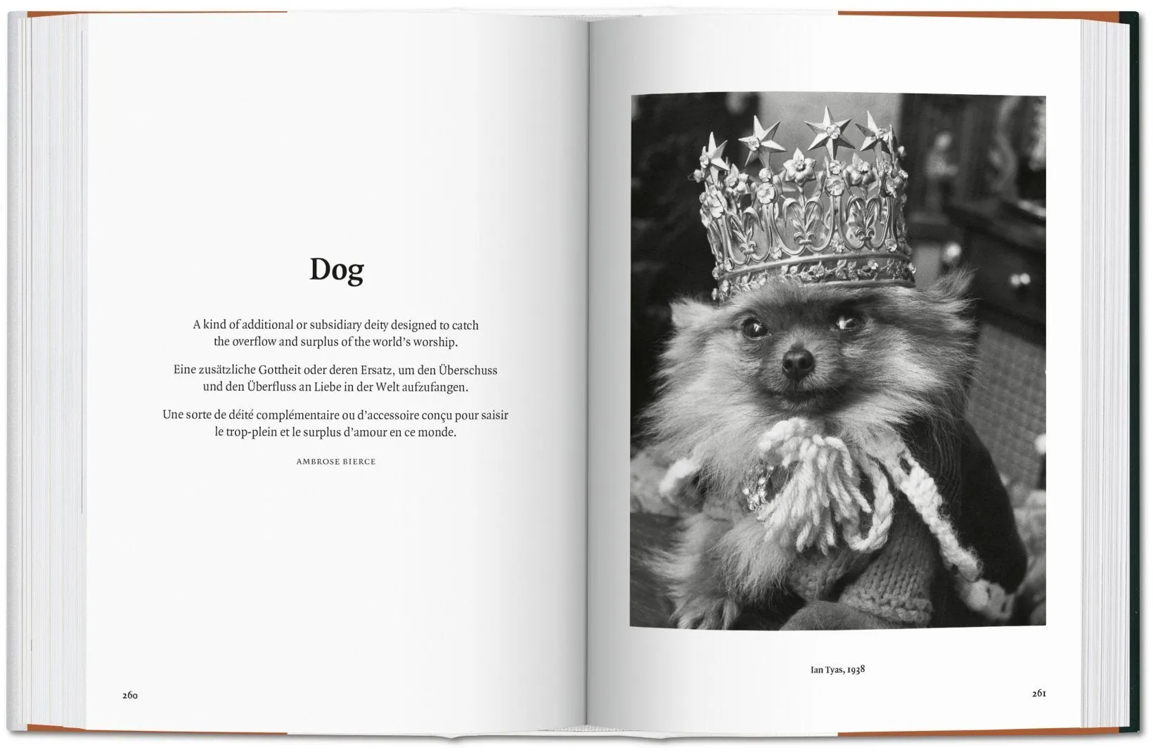 Taschen Books - The Dog in Photography 1839–Today